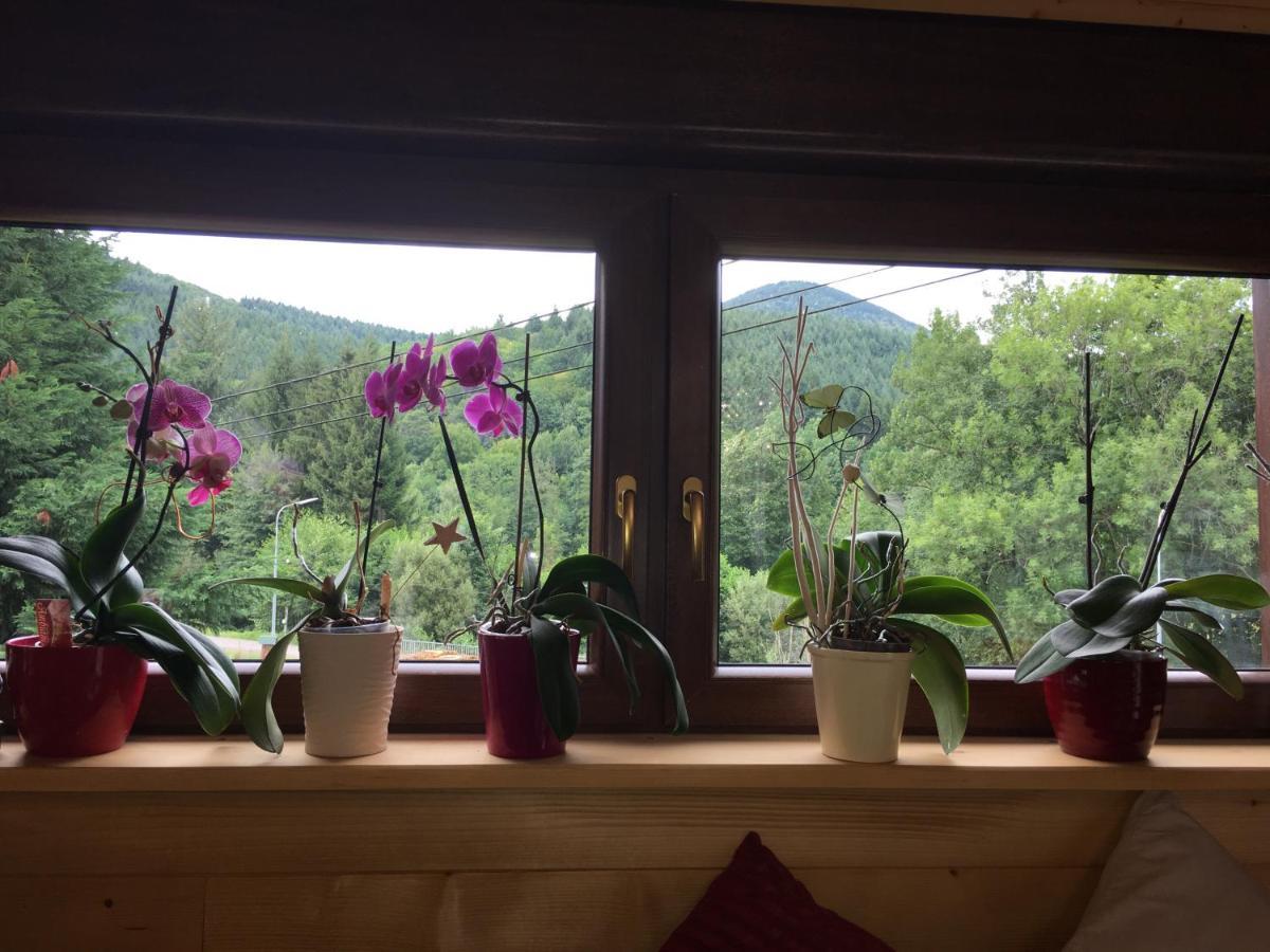 Chalet Du Champs Des Semeaux Wisches Екстериор снимка