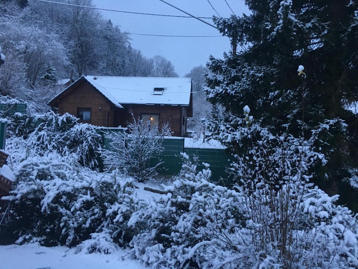Chalet Du Champs Des Semeaux Wisches Екстериор снимка